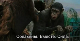 Sticker from дауны