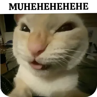 👍 emoji Любовь Telegram sticker 20 of 20