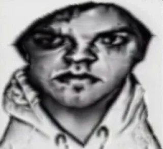 Sticker from выгу выгу нахуй
