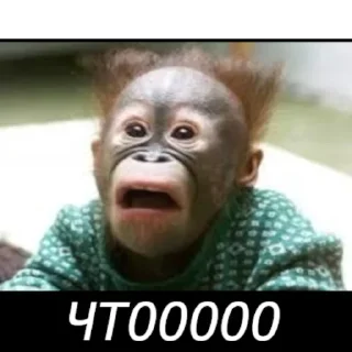 🐵 emoji Стикерпак для дз Telegram sticker 5 of 11