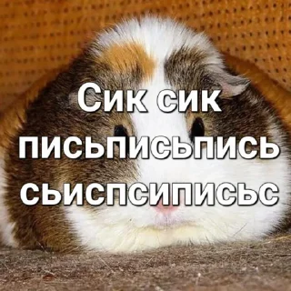👣 emoji Стикерпак для Сваста Telegram sticker 19 of 24