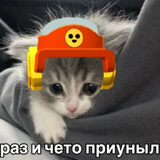🤩 emoji Ларёк и Лор @Larry_and_Lawrie0 |@EmojiRuBot Telegram sticker 6 of 38