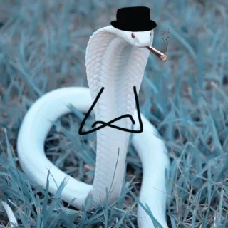 🐍 emoji 𝐀𝐒𝐏𓆗𝐃 ↹ @aspidrp Telegram sticker 14 of 48