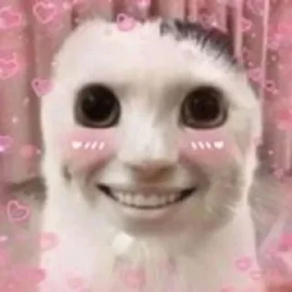 🌟 emoji awww jermbo Telegram sticker 16 of 103