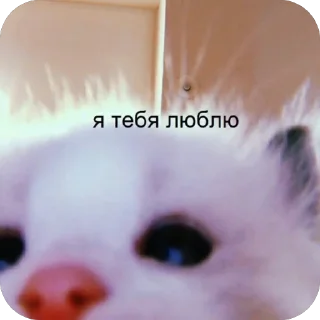 🫥 emoji амнямка Telegram sticker 11 of 89