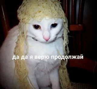 Sticker from котики @aewayyy