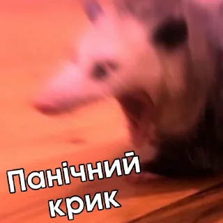 😱 emoji Файні звірятка 2 (by @gendalfs_titties) Telegram sticker 23 of 81