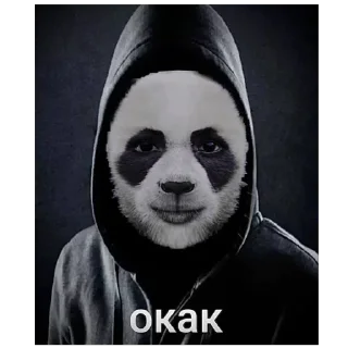 Sticker from Доллик 🐼