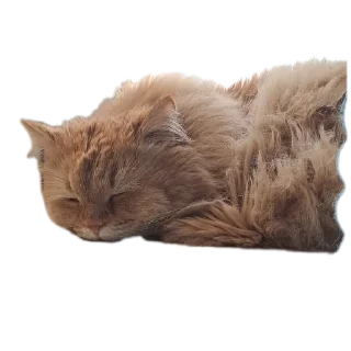 🛣 emoji Valera Edition Telegram sticker 18 of 22