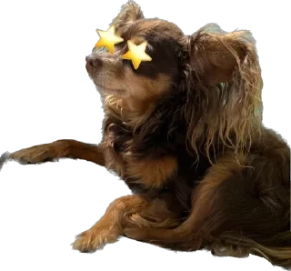 🤩 emoji CuspTumorGazel Telegram sticker 5 of 30