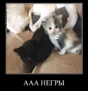 🌟 emoji Та блять Telegram sticker 18 of 40
