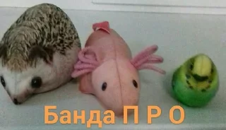 Sticker from Блопсы 2