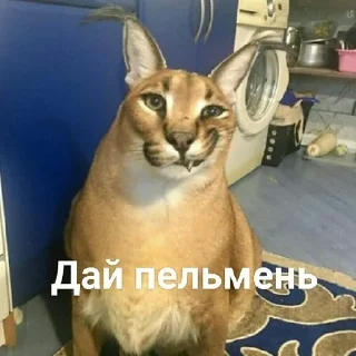 🙃 emoji Шлёпа Telegram sticker 20 of 25