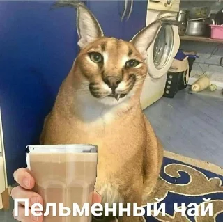 😌 emoji Шлёпа Telegram sticker 8 of 25