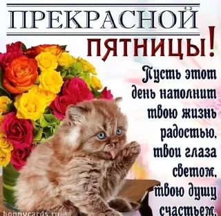 🌟 emoji Открытки Telegram sticker 20 of 44