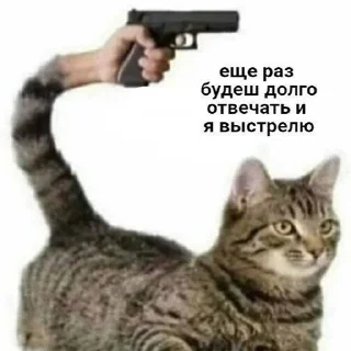 😠 emoji memes Telegram sticker 19 of 54