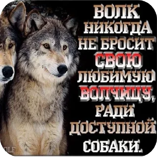 🐶 emoji Волки🔮🔮 @aayrk Telegram sticker 5 of 78