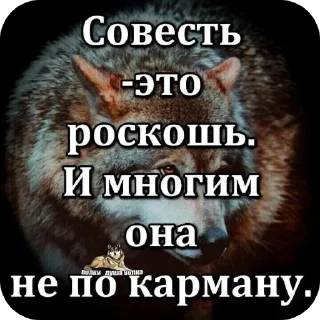 🖼 emoji Волки🔮🔮 @aayrk Telegram sticker 10 of 78