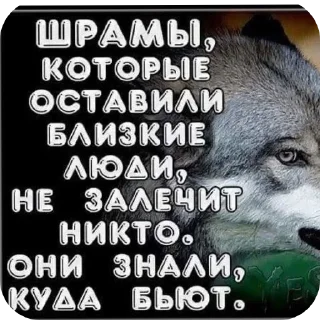 🐶 emoji Волки🔮🔮 @aayrk Telegram sticker 14 of 78