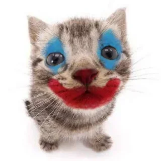 🤡 emoji Дирити Telegram sticker 6 of 69