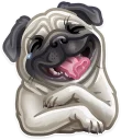 Sticker from Just zoo it!