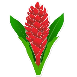 🇼🇸 emoji Rugby World Cup 2023 Telegram sticker 21 of 40