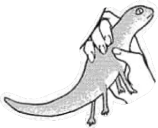 Sticker from легенда
