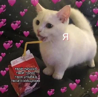 ❤️ emoji Любовь Telegram sticker 24 of 43