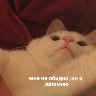 😍 emoji Любовь Telegram sticker 5 of 43