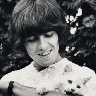 🌟 emoji The Beatles Telegram sticker 14 of 90