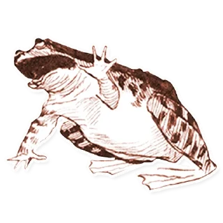 👋 emoji Упоротый Антиквариат Telegram sticker 23 of 42