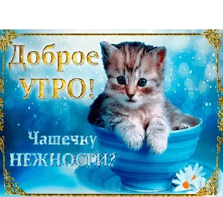☺️ emoji WhatsApp JPG (@pt_stickers) Telegram sticker 13 of 17