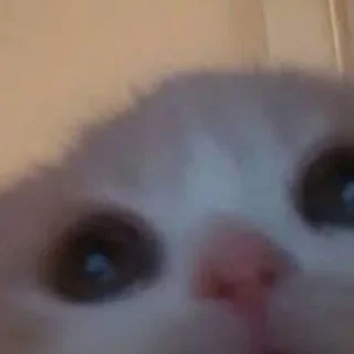 🙂 emoji стикеры от не шалава Telegram sticker 18 of 60