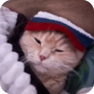 🫥 emoji шалава Telegram sticker 15 of 37