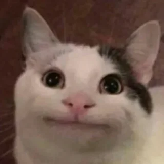 🙃 emoji crying babe Telegram sticker 21 of 41