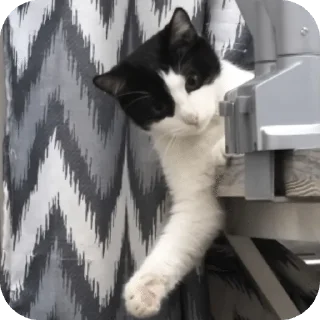 🌟 emoji Стасик Telegram sticker 5 of 68