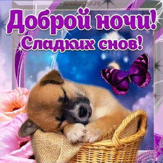 Sticker from Позитивные картинки 🤩