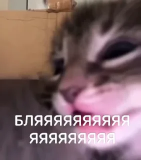 😨 emoji $weaty ball$ Telegram sticker 20 of 120
