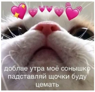 ☀️ emoji 💖💖💖 Telegram sticker 7 of 89