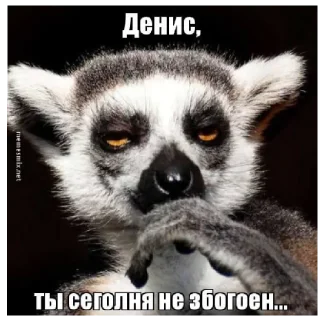 🤔 emoji Денис Telegram sticker 11 of 34