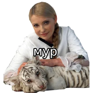 😺 emoji Типовий русофоб Telegram sticker 24 of 33