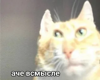 🤪 emoji Кисики Telegram sticker 9 of 107