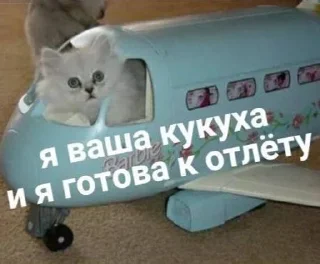 😵‍💫 emoji Кисики Telegram sticker 14 of 107