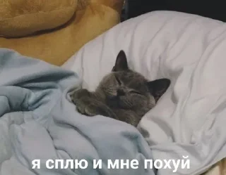 🌟 emoji Для переговоров Telegram sticker 21 of 22