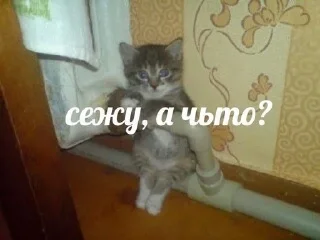 🌟 emoji Для переговоров Telegram sticker 14 of 22