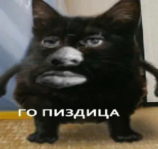 🌟 emoji Для переговоров Telegram sticker 16 of 22