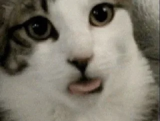 🌟 emoji Для переговоров Telegram sticker 7 of 22