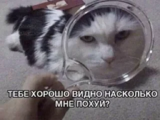 🌟 emoji Для переговоров Telegram sticker 18 of 22