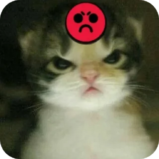 😠 emoji Мэн Telegram sticker 10 of 34