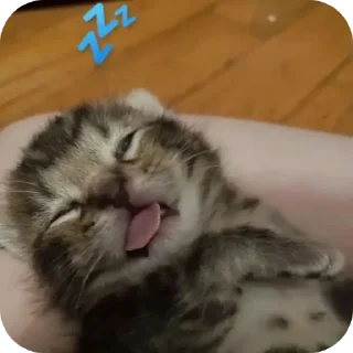 💤 emoji Мэн Telegram sticker 16 of 34
